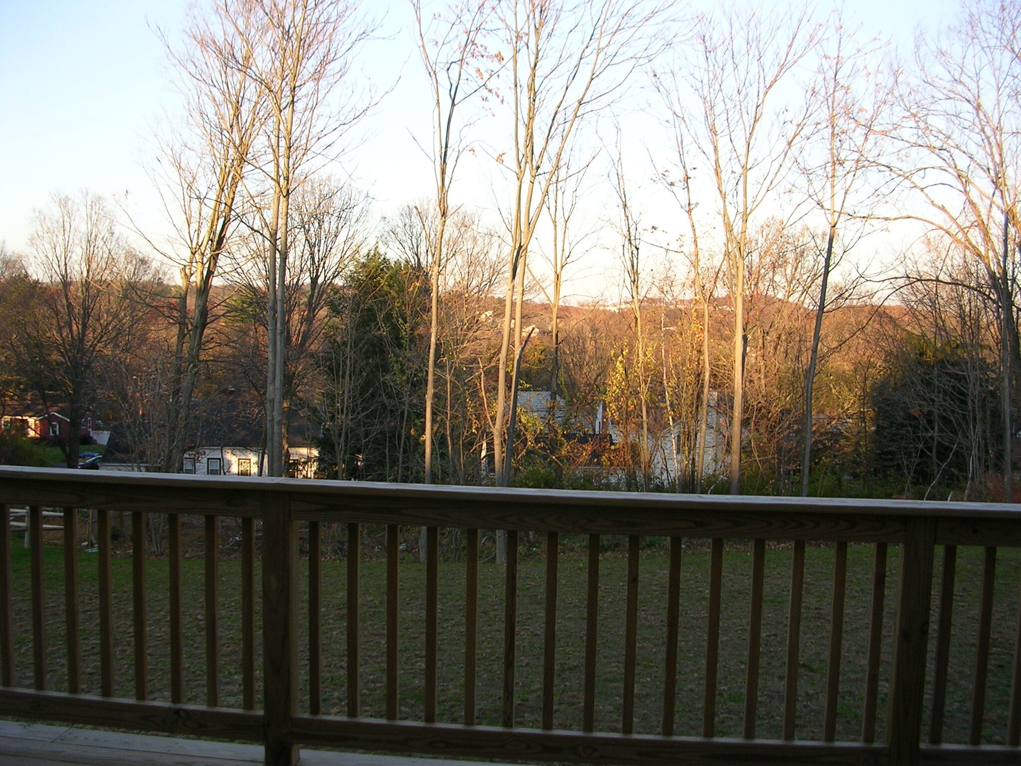 Back yard views - 6 Carla Dr