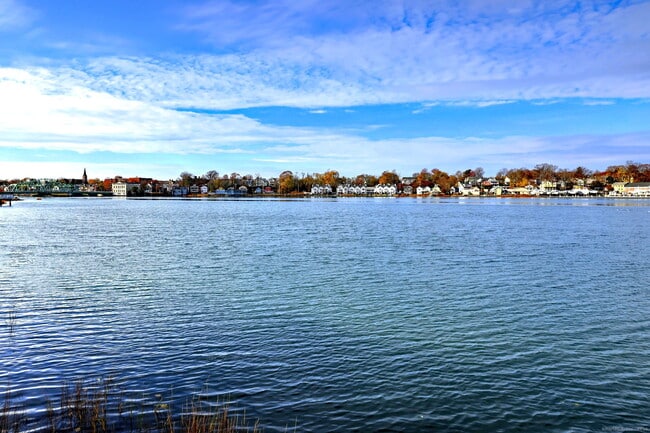 Building Photo - 800 Quinnipiac Ave