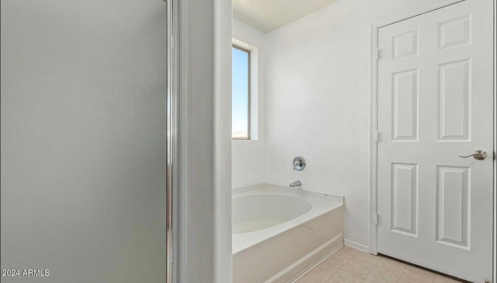 Master shower and separate tub - 66 E Saddle Way