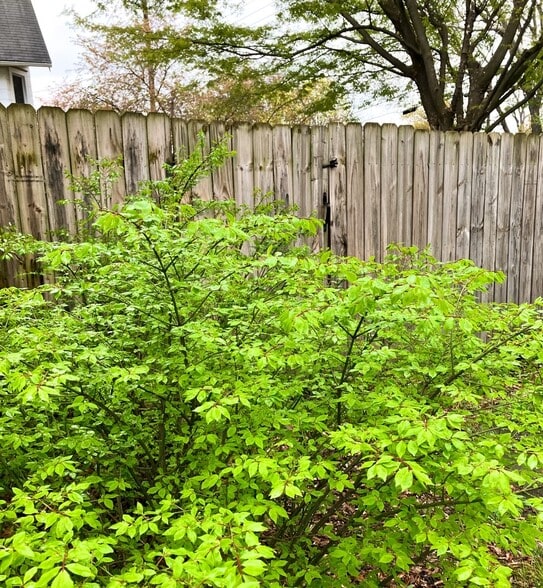 Building Photo - 322 Park Pl