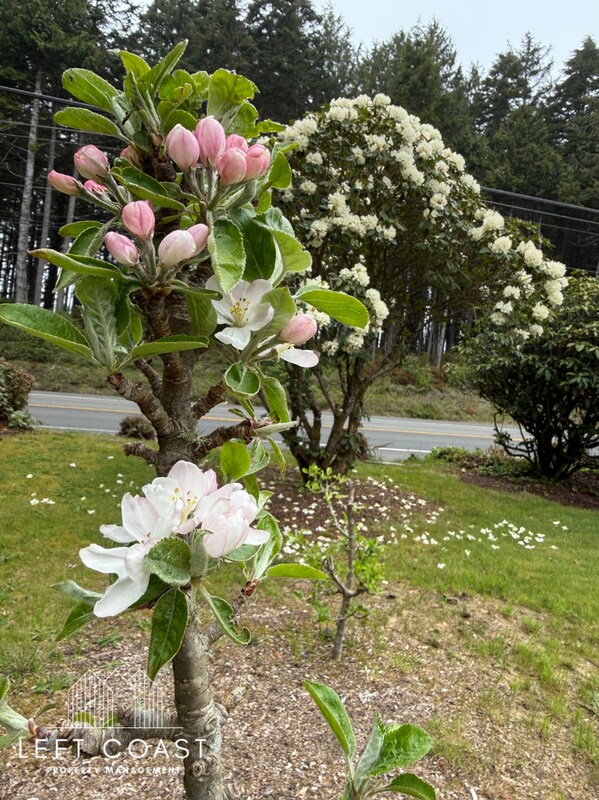 Building Photo - 2050 US-101
