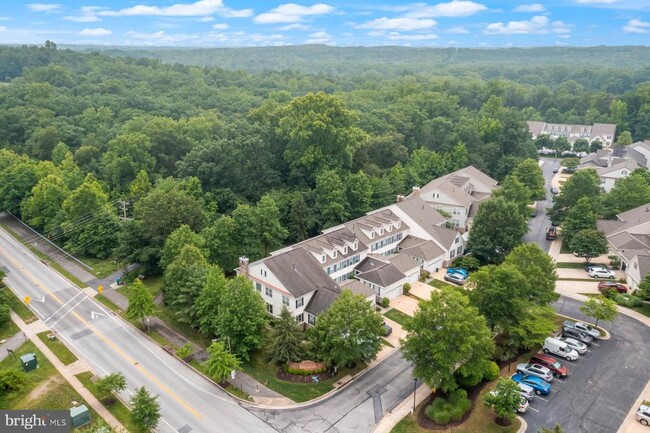 Building Photo - 805 Thicket Ct