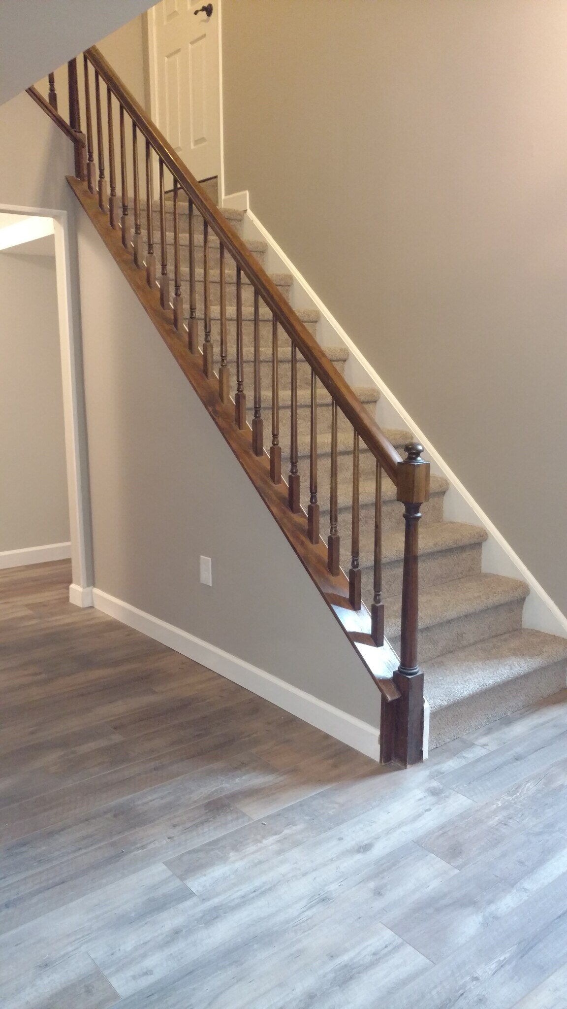 Building Photo - 2203 Buckingham Cir