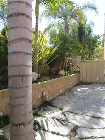 Building Photo - 24508 Sunshine Dr