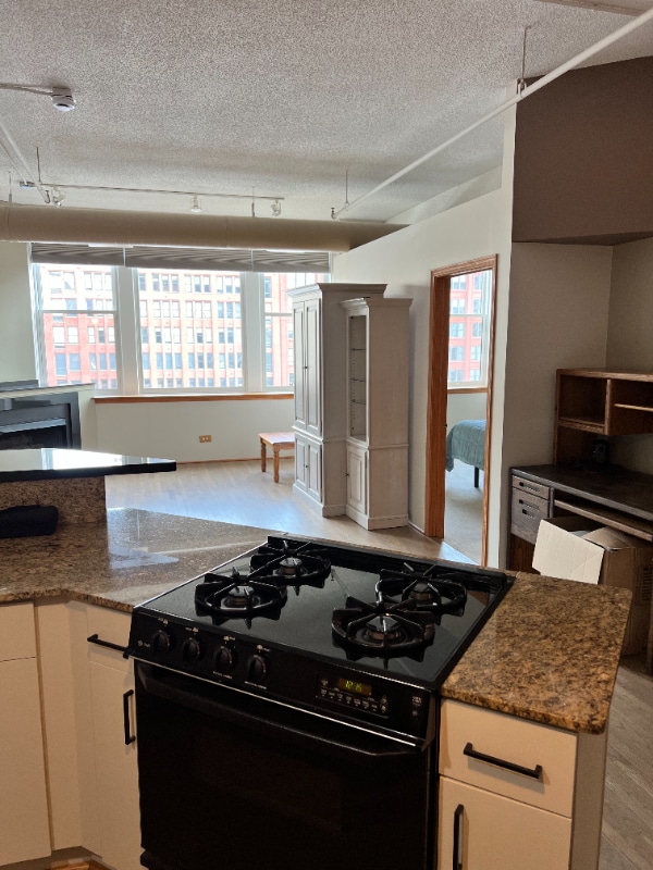 Building Photo - 161 W Harrison St