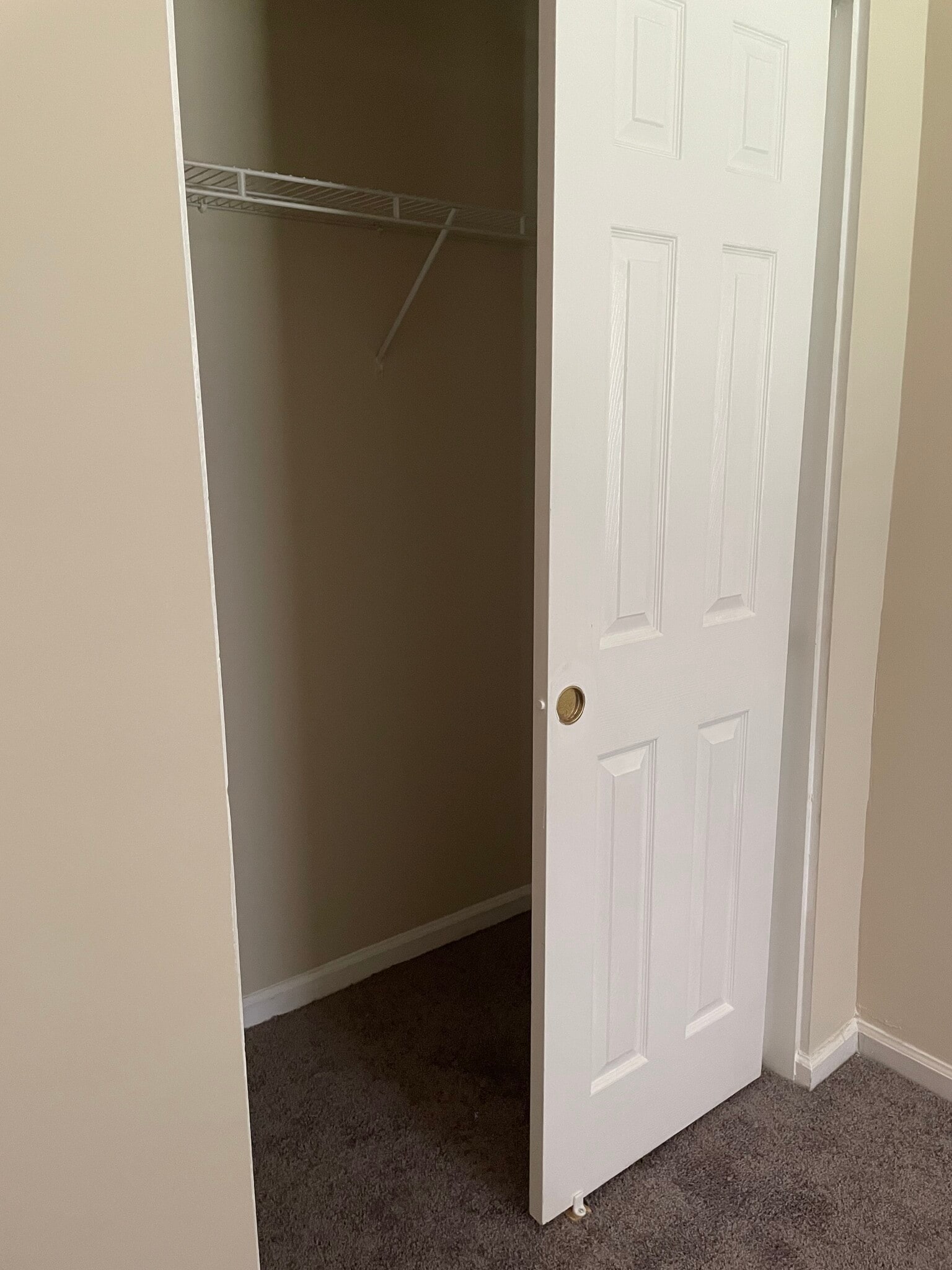2nd Bedroom Closet - 1314 Bradley Daniel Blvd