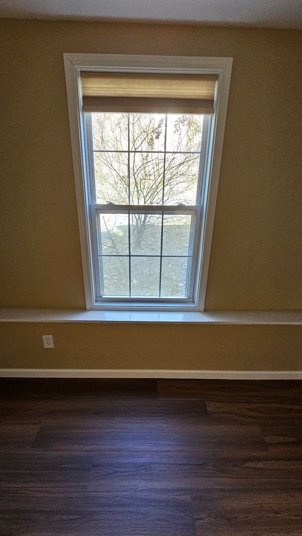 Building Photo - Black Mountain Duplex -Downstairs Unit