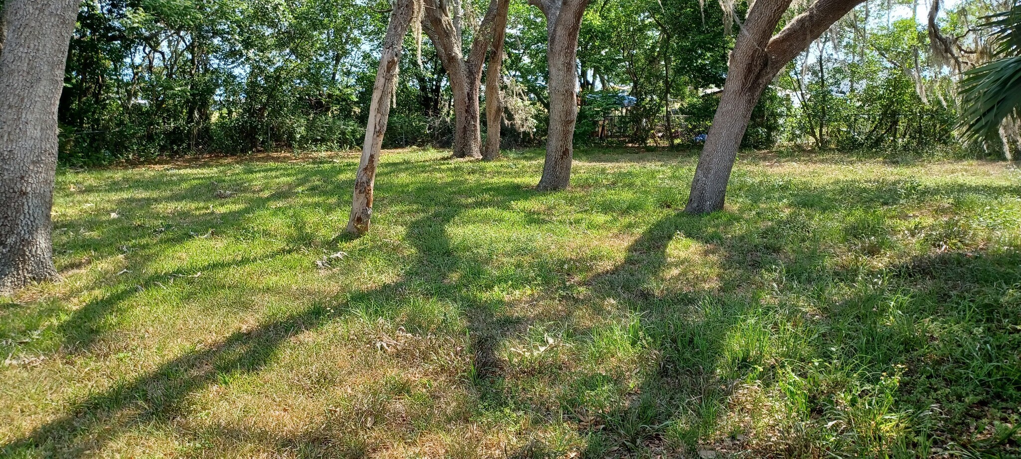 Backyard. - 4513 Howard St