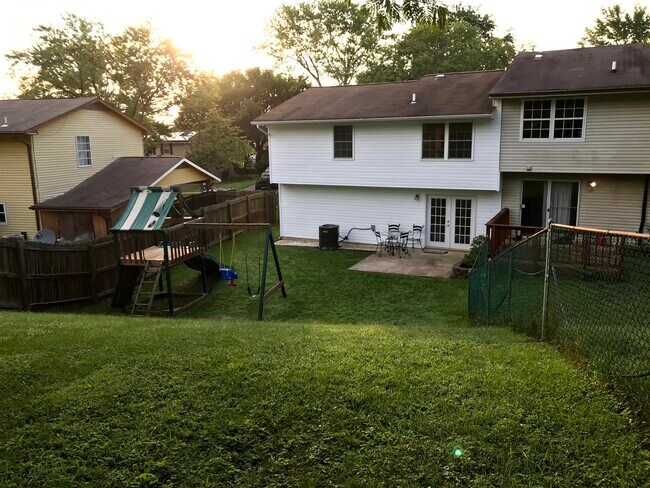 backyard - 2527 Vivaldi Ln