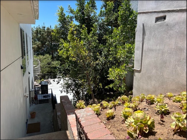 Building Photo - 2387 Mt Olympus Dr