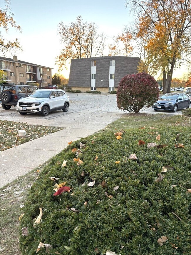 Building Photo - 212 Madison St