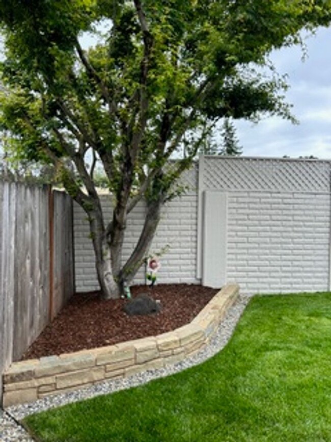 Building Photo - Remodeled Single Story 3 Bedroom/2 Bathroo...