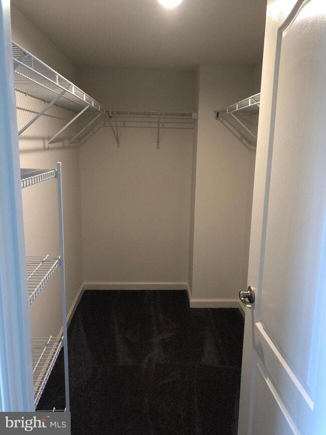 Building Photo - 2950 Timberneck Way
