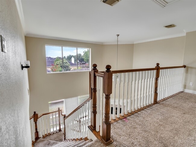 Building Photo - 1803 Ripple Creek Dr