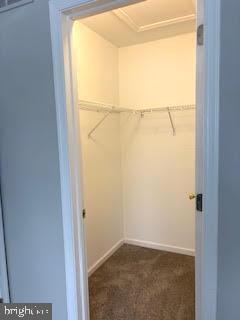 Building Photo - 4908 Tall Cedar Ct