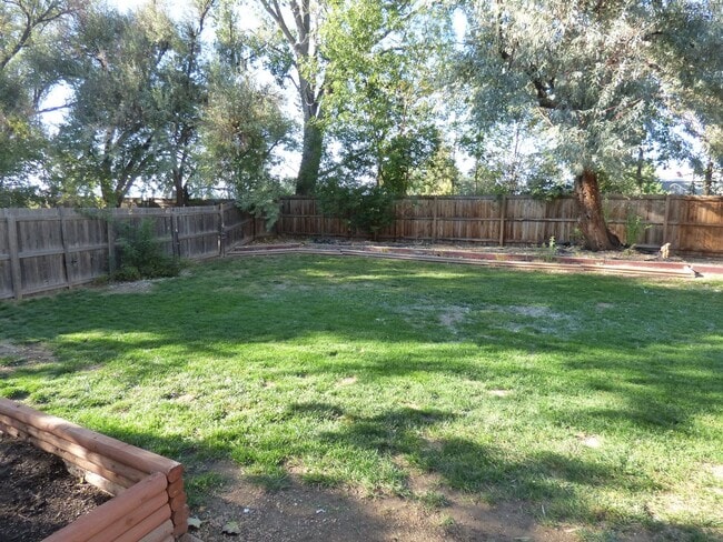 Building Photo - Tri-Level Home in North Longmont