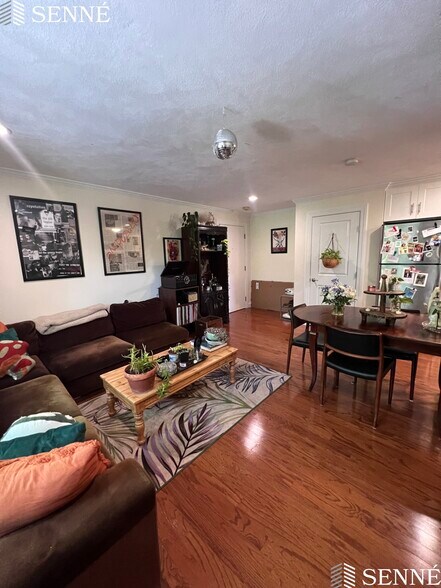 Primary Photo - 7 Blair Pl
