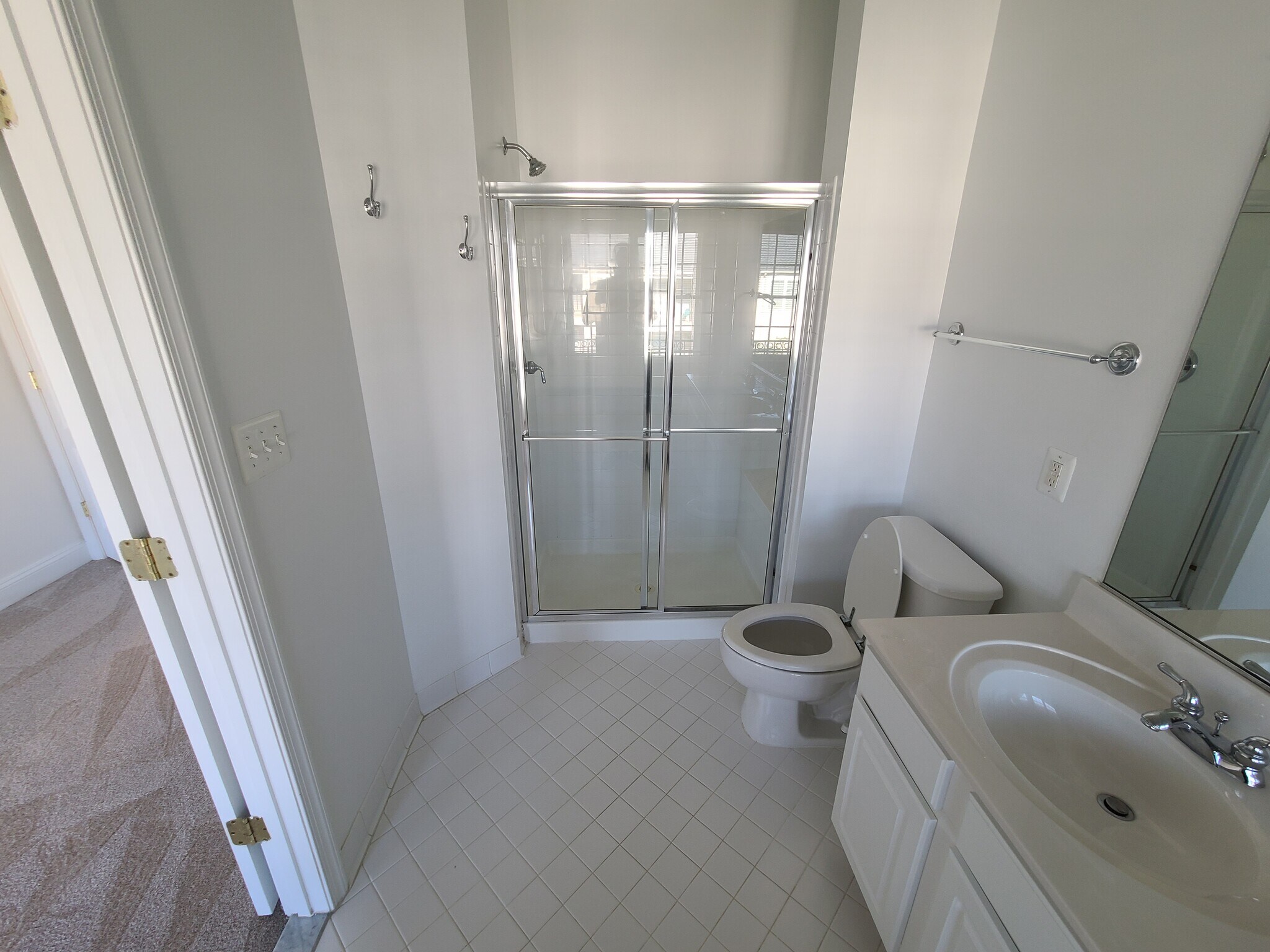 Master Bathroom - 25807 Turlough Ter