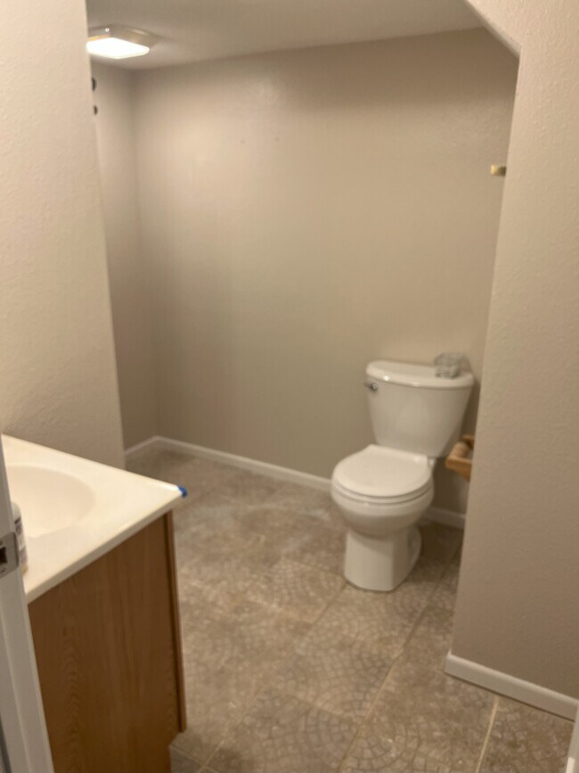 Basement Bathroom - 1900 Locust St