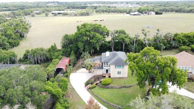 Building Photo - Exquisite Lake County Home with Lake Harris Views