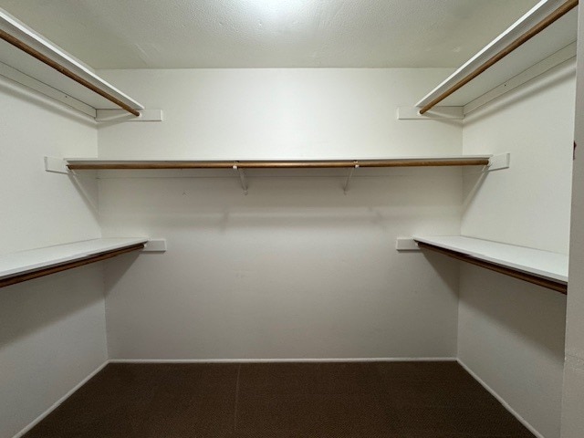 Building Photo - 2504 Levante St