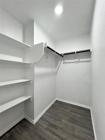 Building Photo - 252 Peace Lily Wy