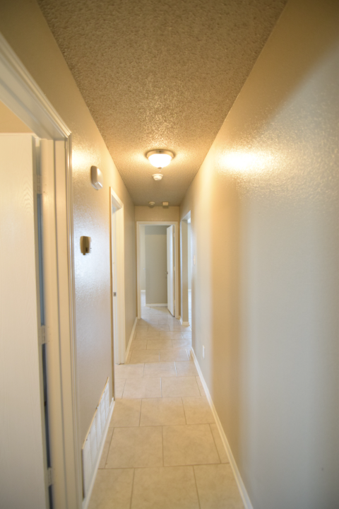 Building Photo - 4105 Sand Dollar Dr