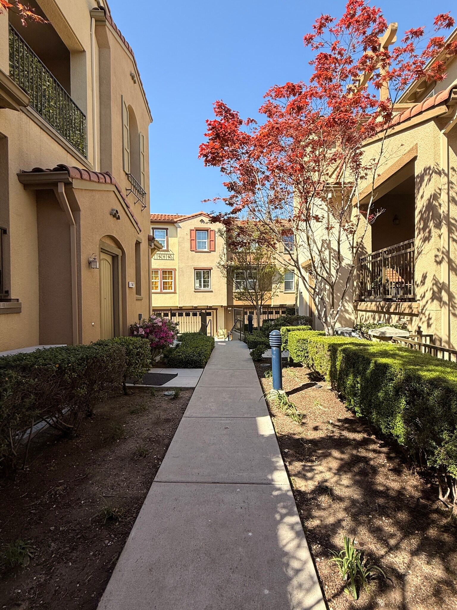 Front View 2 - 677 Luz del Sol Loop