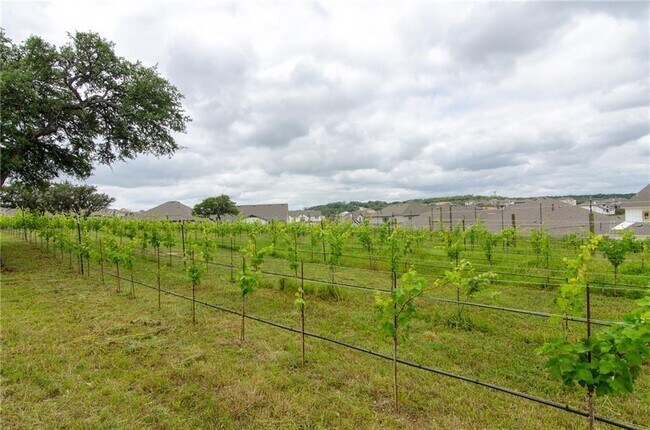 Building Photo - 7112 Poulain Dr