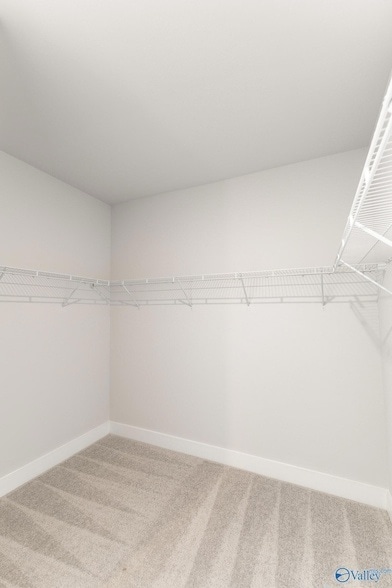 Building Photo - 217 John Clift Cir