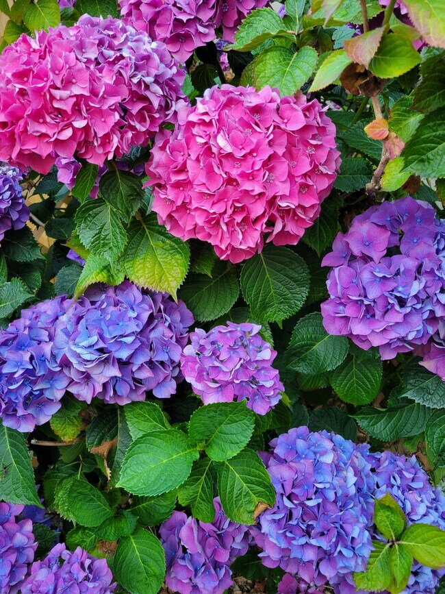 Building Photo - 5032 35th Ave SW