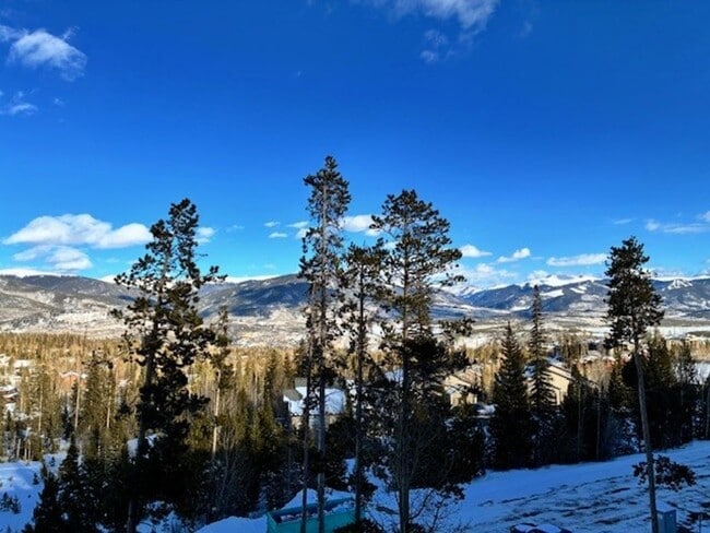 Building Photo - Long Term Rental- Buffalo Ridge/Village 403CC