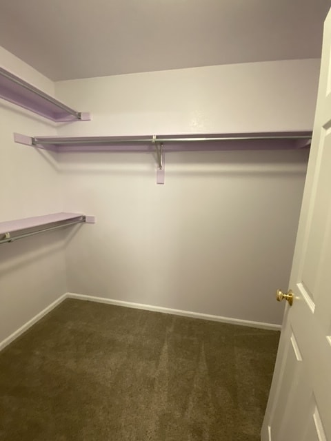 Building Photo - 5127 Stillwater Creek Dr