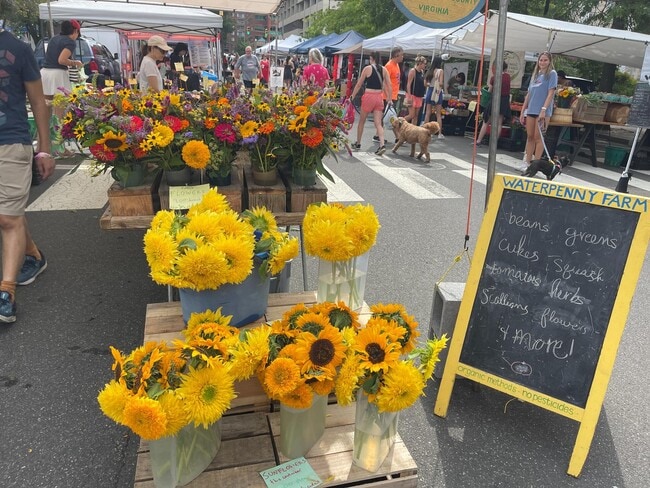 Building Photo - 1618 N Danville St