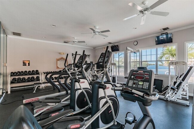 Building Photo - 5000 Culbreath Key Way