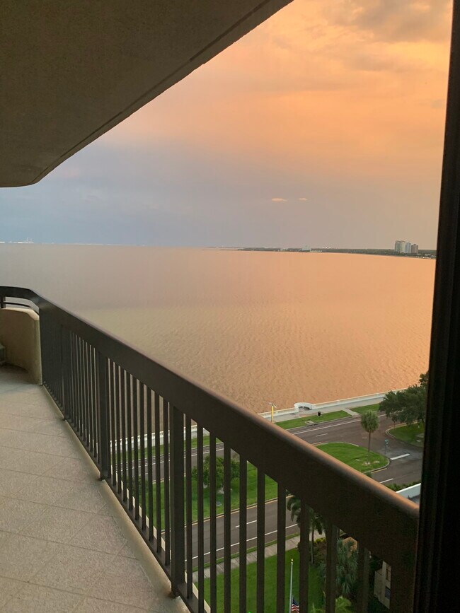 Building Photo - 2413 Bayshore Blvd