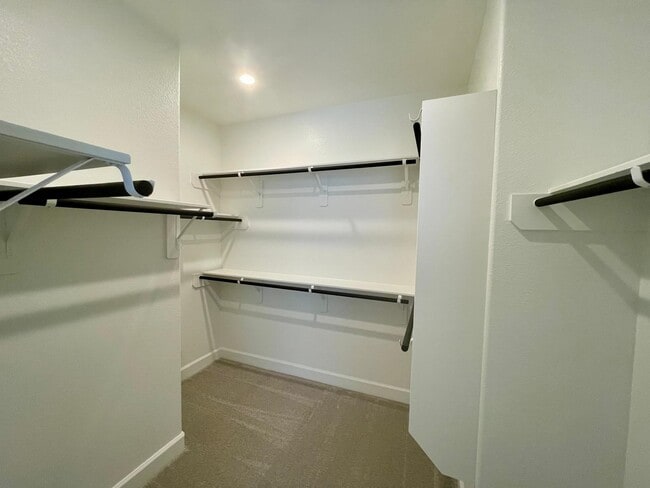Building Photo - 151 Harlequin Duck Ct