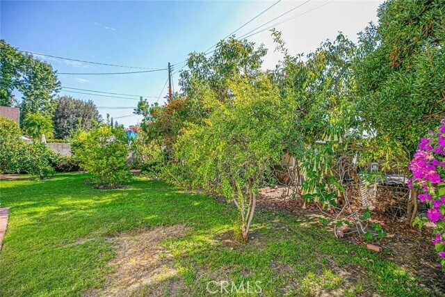 Building Photo - 1606 Bel Aire Dr