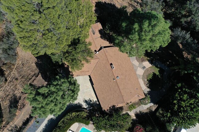 Building Photo - 279 Starlight Crest Dr