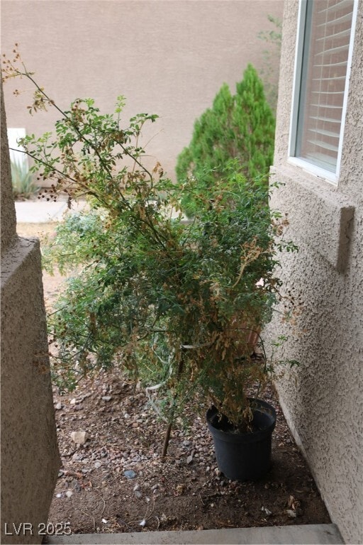 Building Photo - 4069 Vicenta Ct