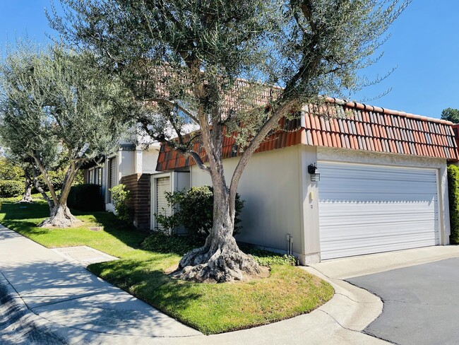 Primary Photo - 28159 Ridgecove Ct S