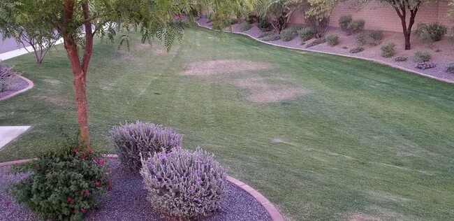 Building Photo - 2248 E Ottawa Ln