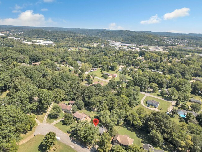 Building Photo - 509 Mathes Ct