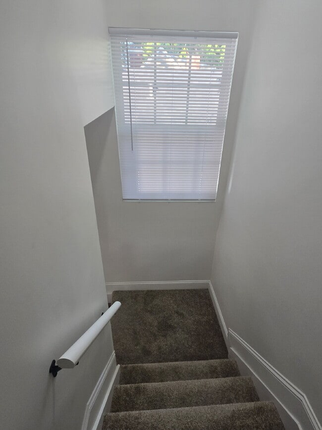 Building Photo - "Newly and beautifully remodeled 3-Bed Gem on Denmark Street!"