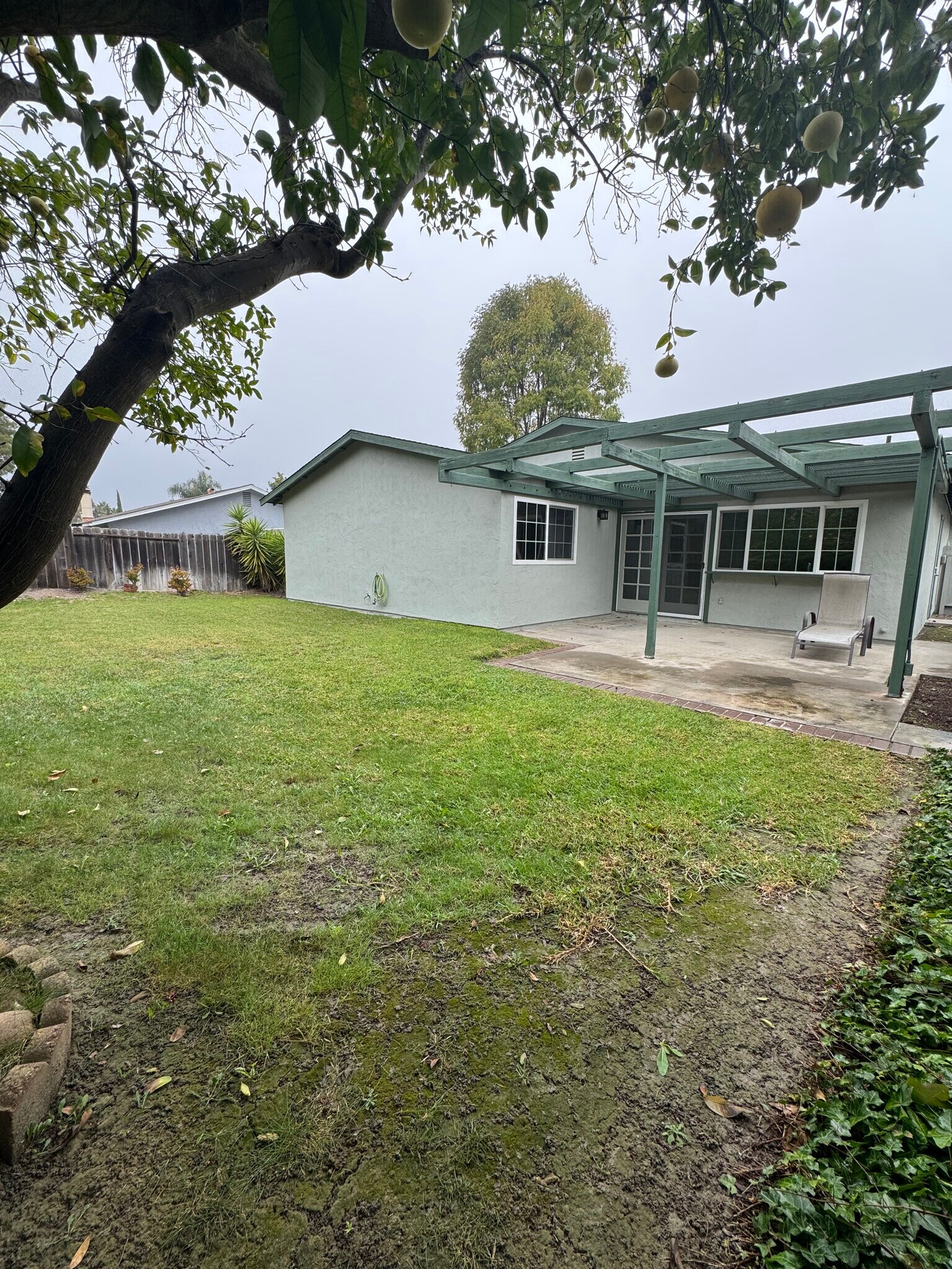 Backyard - 15190 Penasquitos Dr