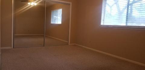 Building Photo - 2822 Chimneystone Cir