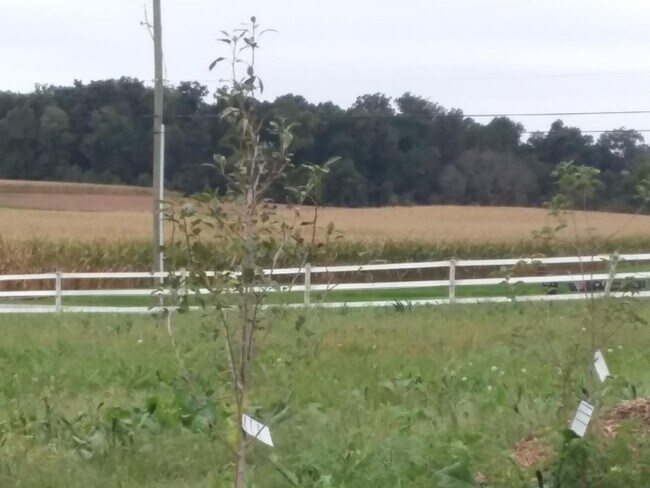 Building Photo - 48 Buckwalter Rd