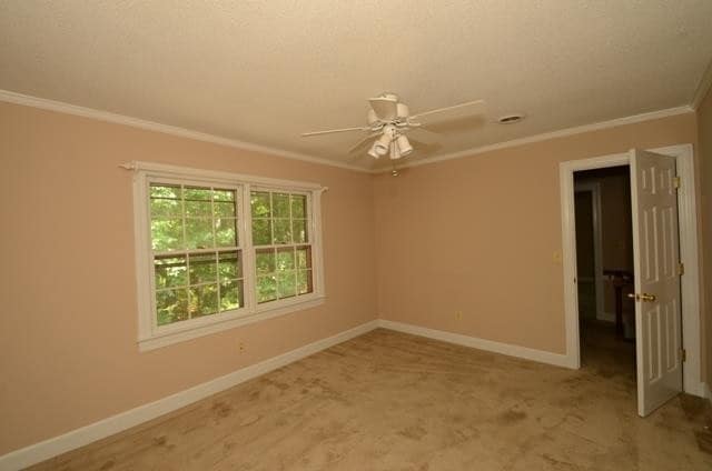 Building Photo - 113 Wesleyan Ct