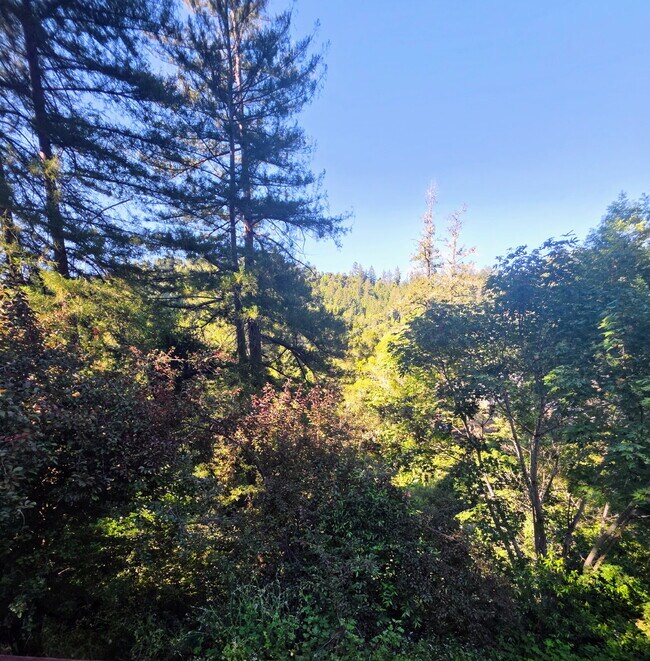 Building Photo - FOUR-BEDROOM HOME WITH PRIVATE SUITE, EXPANSIVE DECKS, GARAGE & WORKSHOP SPACE   Open House 1-2 P...