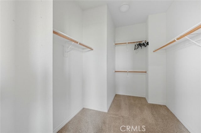 Building Photo - 2965 Breezy Meadow Cir